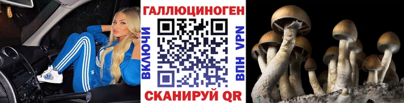 даркнет сайт Надым Псилоцибиновые грибы Psilocybe