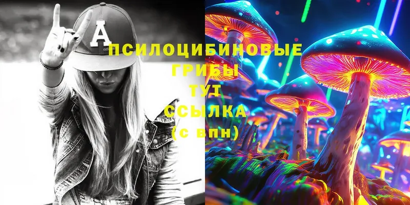 Псилоцибиновые грибы Psilocybe  Надым 