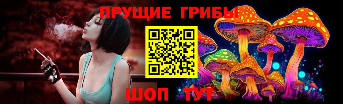 Галлюциногенные грибы Cubensis Надым